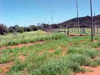 Pine Gap view of fence